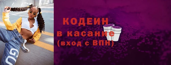 крисы Осинники
