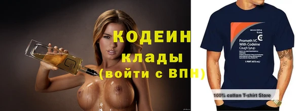 крисы Осинники