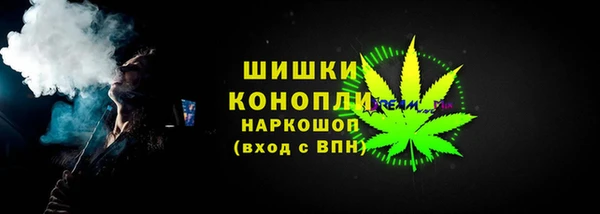 крисы Осинники