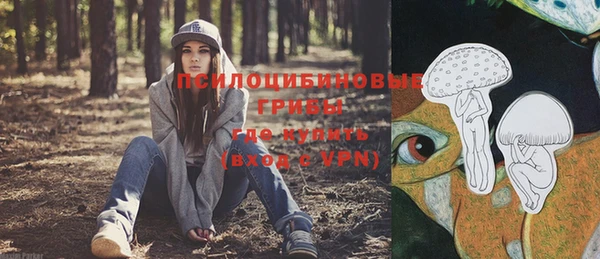 таблы Осташков