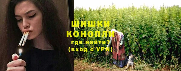 крисы Осинники