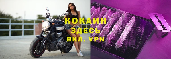 крисы Осинники