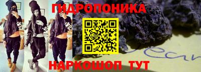 прущие крисы Кандалакша