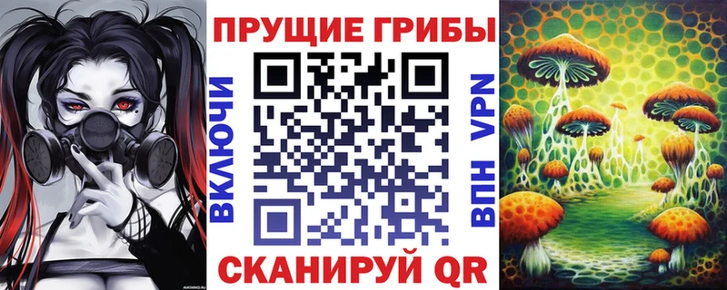 хочу наркоту  Нягань  Псилоцибиновые грибы Magic Shrooms 