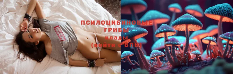 хочу   Нягань  OMG как войти  Галлюциногенные грибы Cubensis 